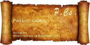 Palicz Csaba névjegykártya